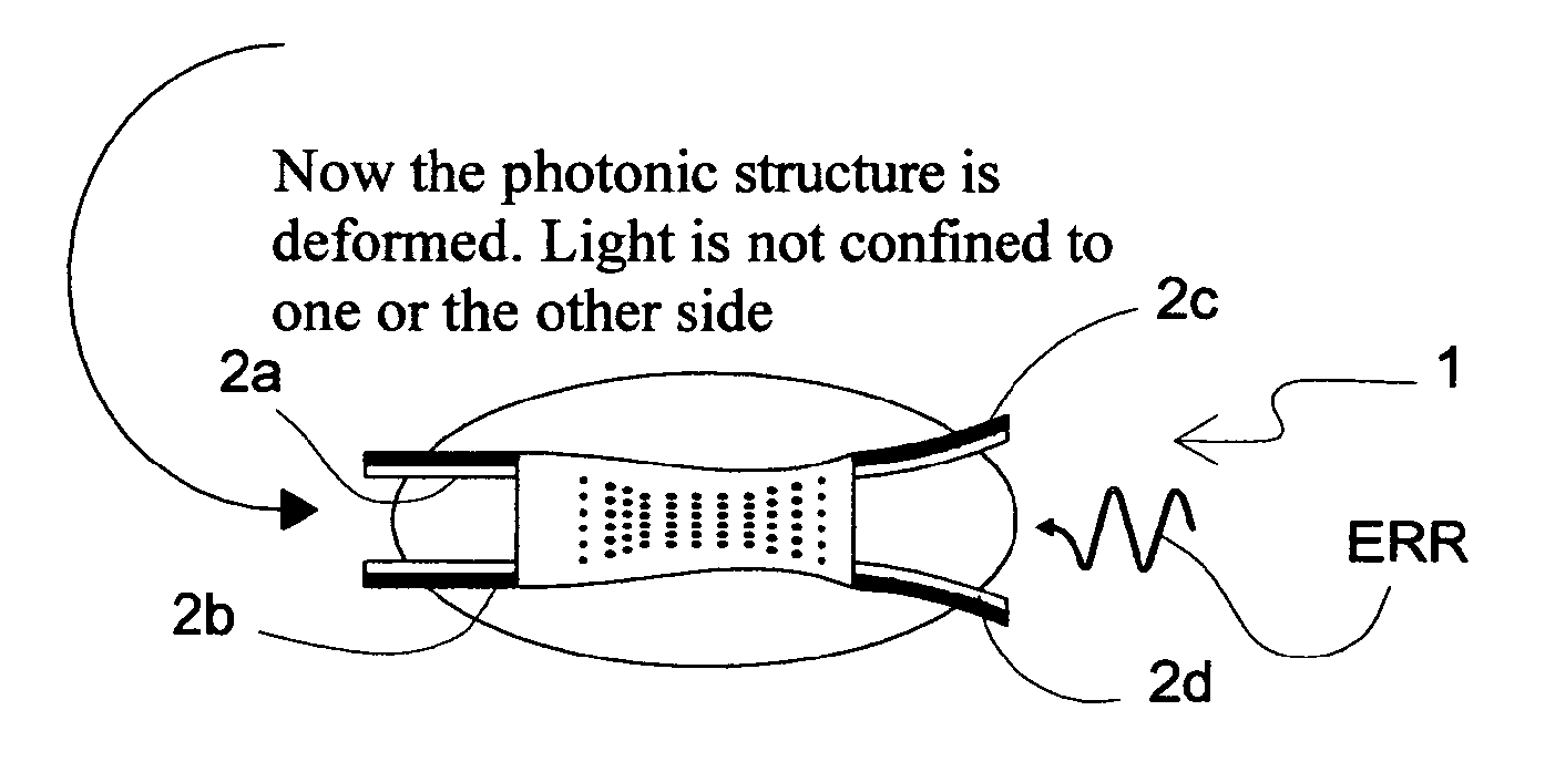 Light driven liquid crystal elastomer actuator