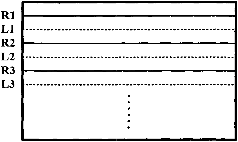 Passive stereoscopic image system and its image processing method