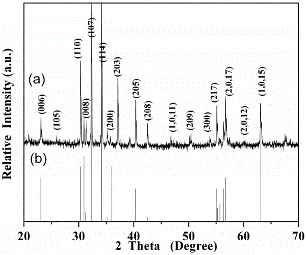 Single-phase multiferroic m-type lead ferrite ceramic material and preparation method thereof