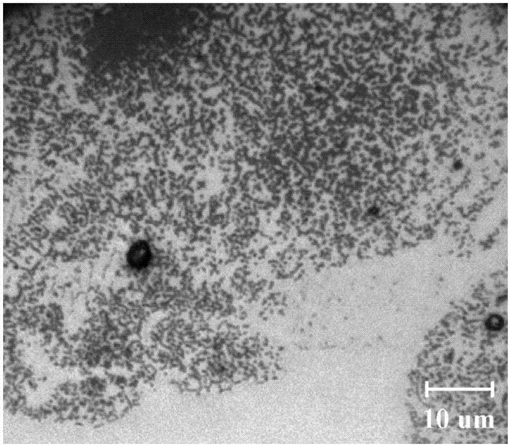 A kind of preparation method of nanoparticle-reinforced thermal barrier coating