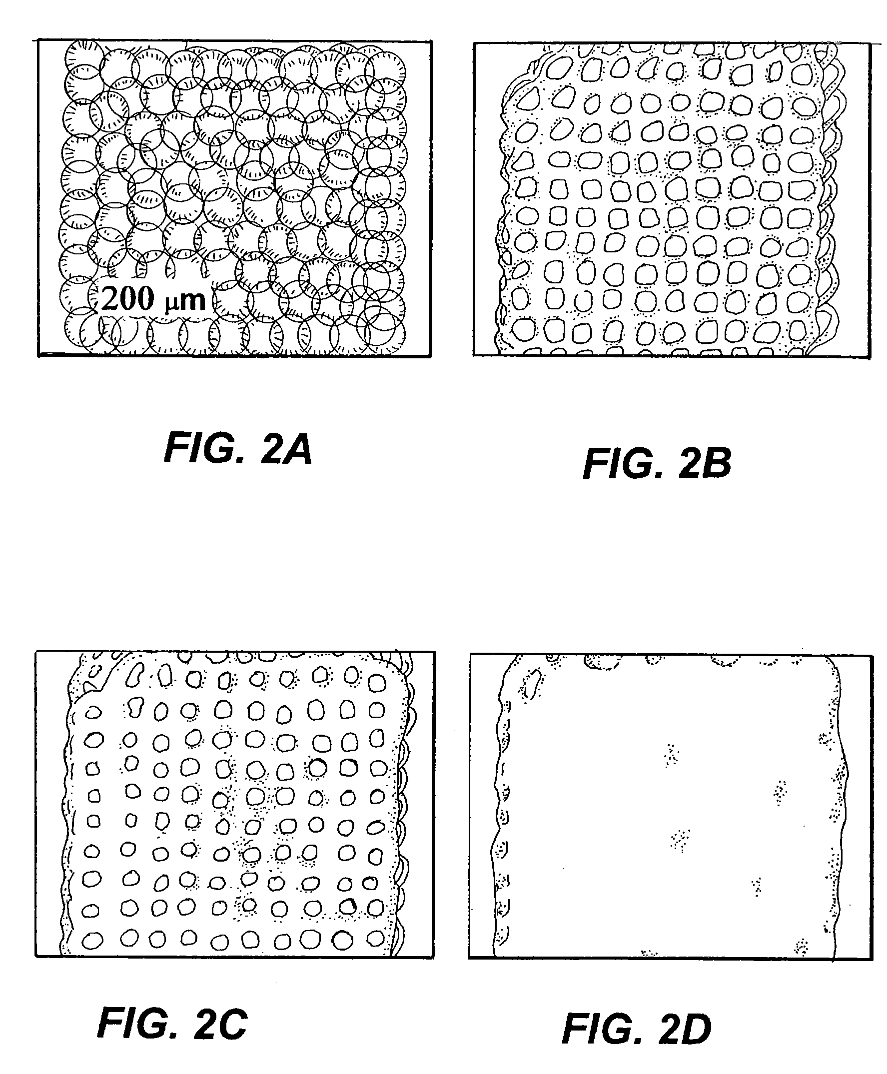 Method and apparatus for forming structures of polymer nanobeads