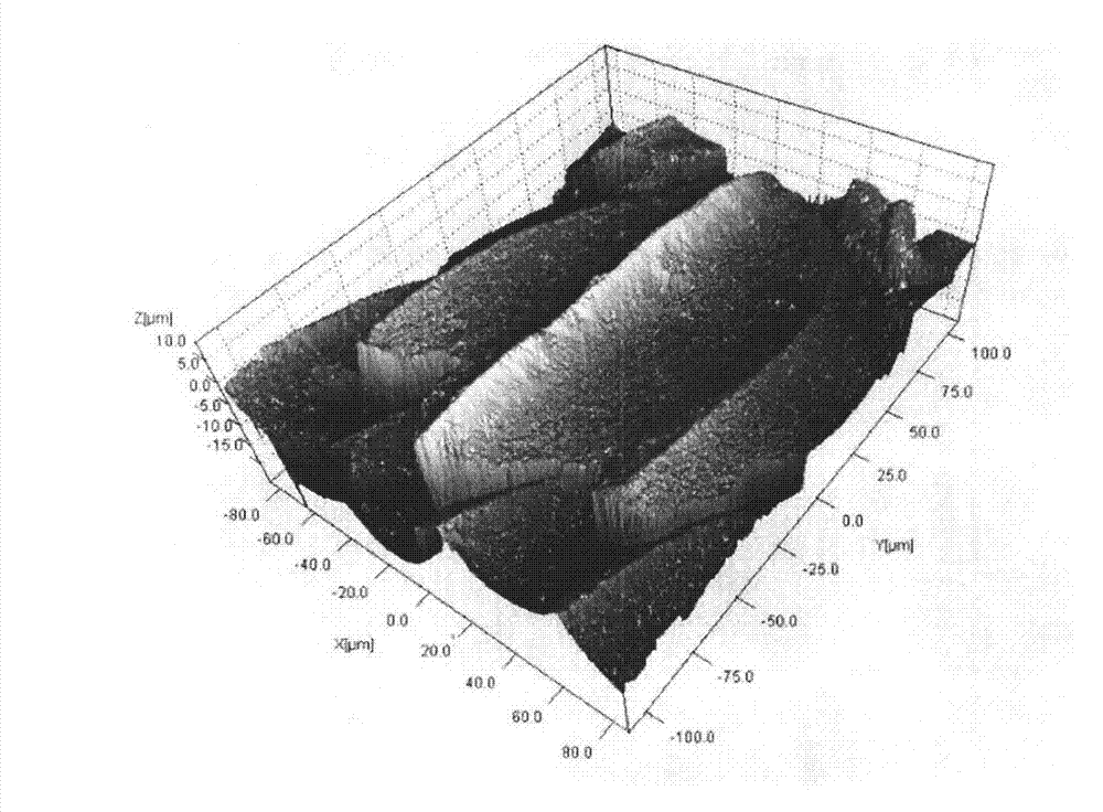 Method for manufacturing amplified vivid sharkskin squama
