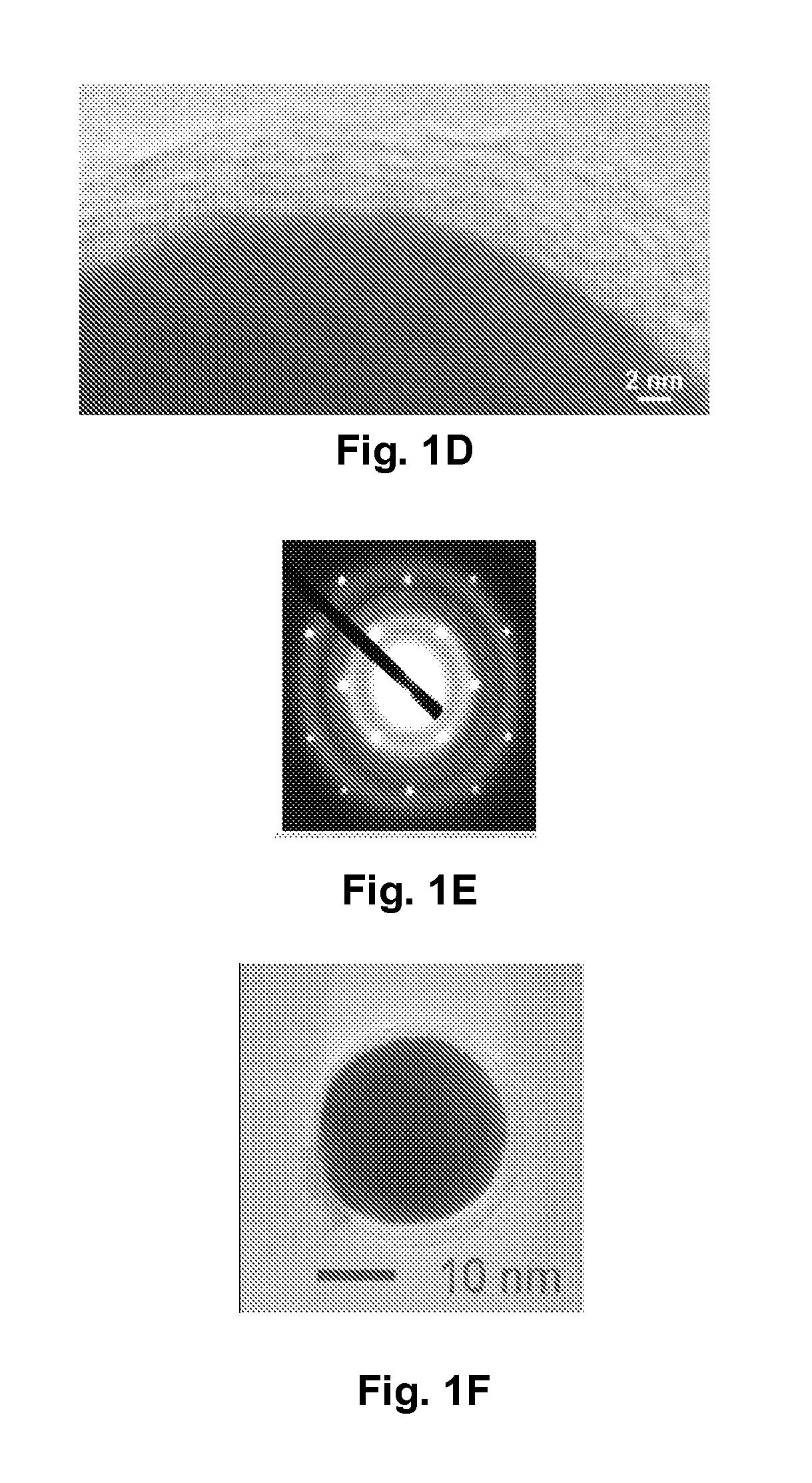 Carbon-Encased Metal Nanoparticles and Sponges, Methods of Synthesis, and Methods of Use
