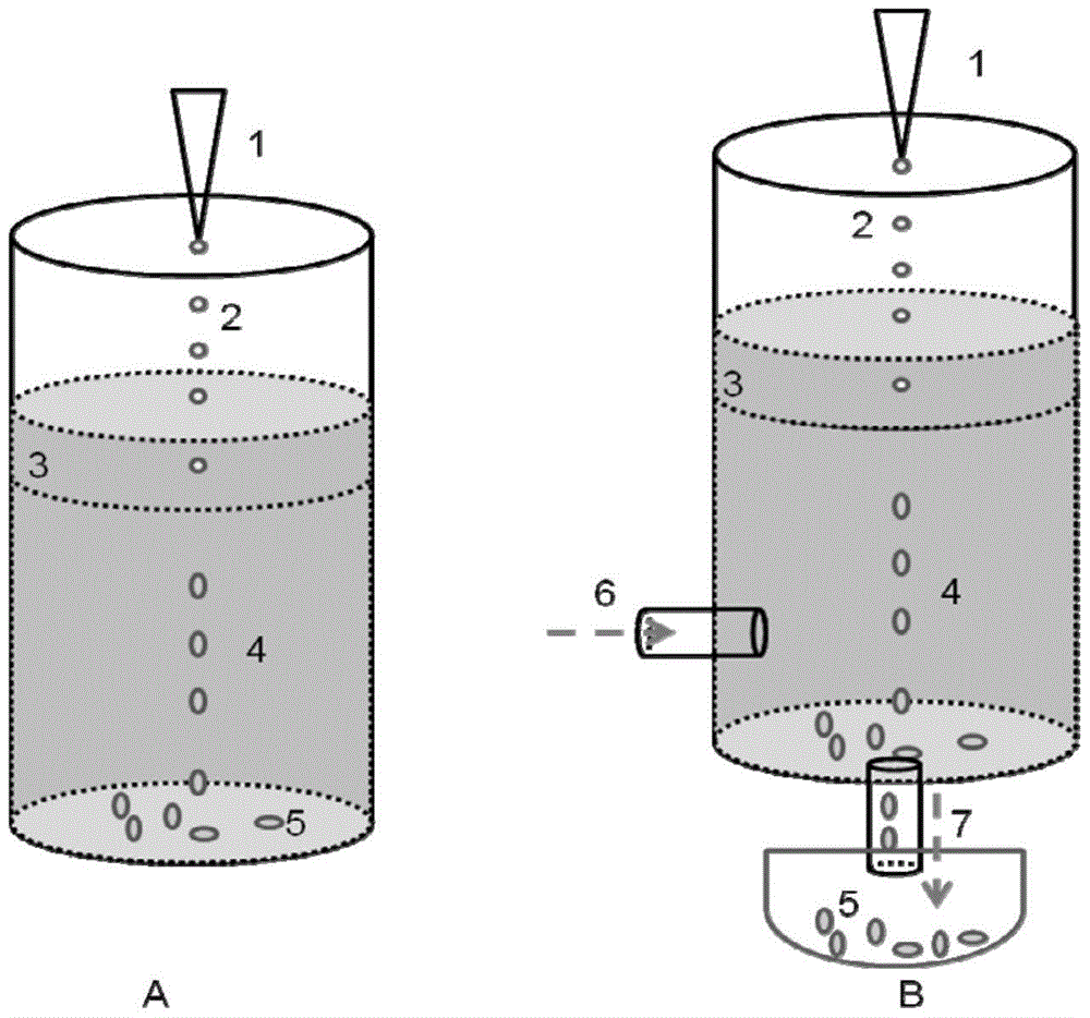 A kind of water-containing capsule and preparation method thereof