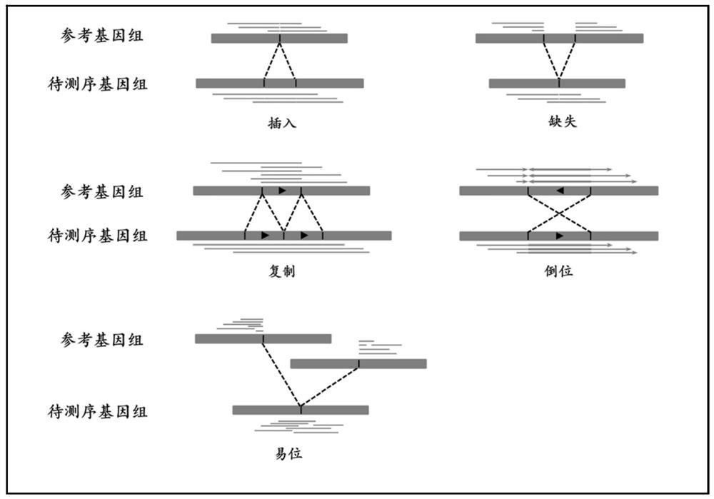 A Benchmark Set-Based Method for Genome Structural Variation Performance Detection