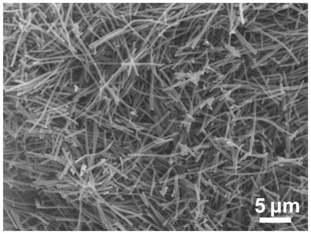 Preparation method and application of transition metal sulfide/nitrogen-sulfur co-doped carbon composite fiber electrode material