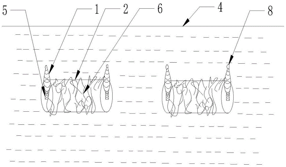 Asexual reproduction planting method for gastrodia elata