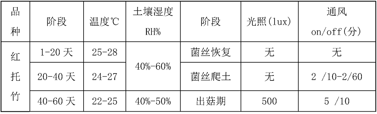 Production method for factorized square fungi bag cultivation of Dictyophora rubrovolvata