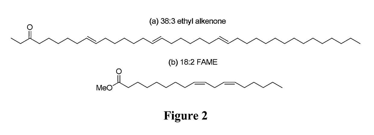 Use of marine algae for co-producing alkenones, alkenone derivatives, and co-products