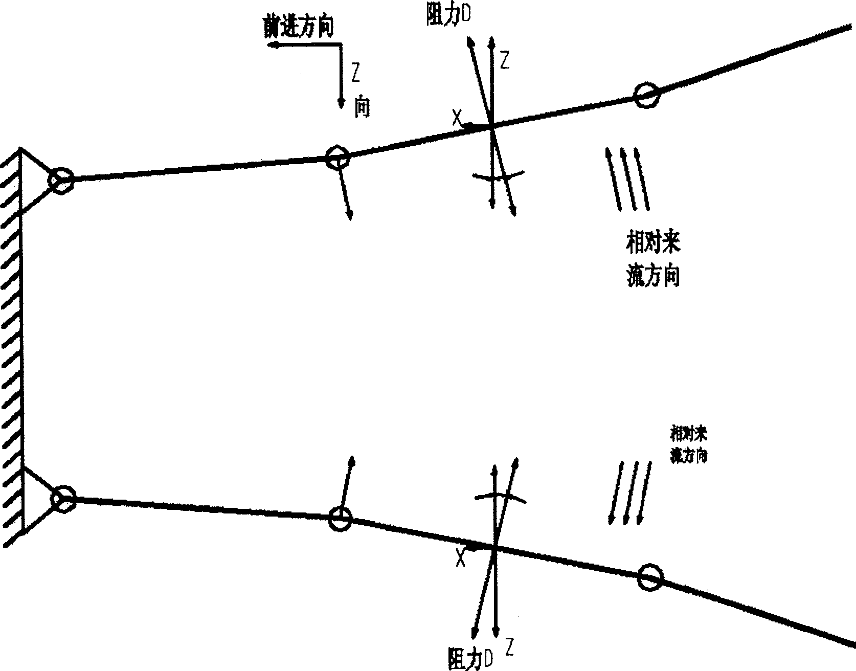 Double bodies machinery fish