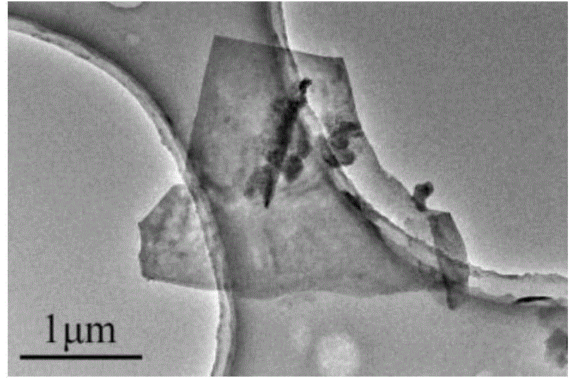 Preparation method and application of TiS2 nanosheet-polyaniline-based electrochemical sensor for trace copper ion detection