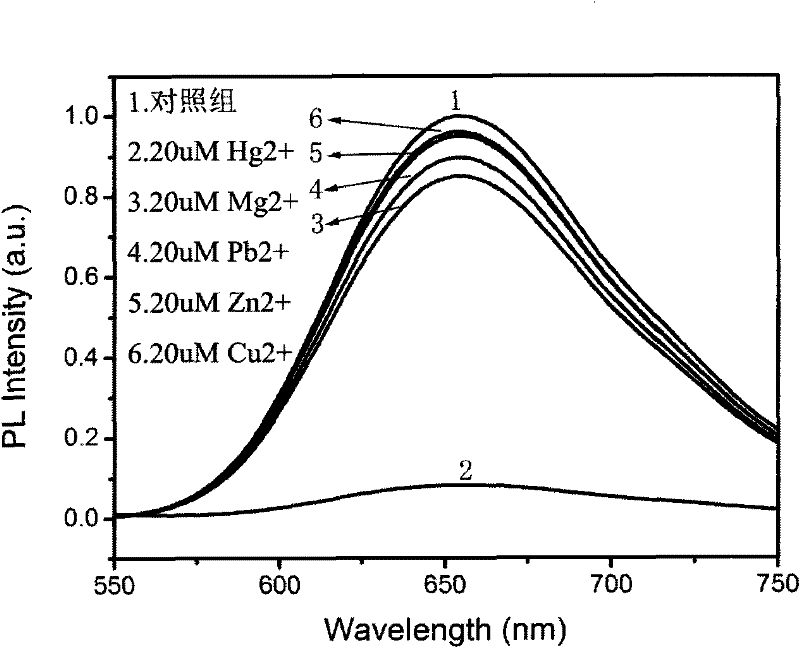 Fluorescent silver cluster, and preparation method and application thereof