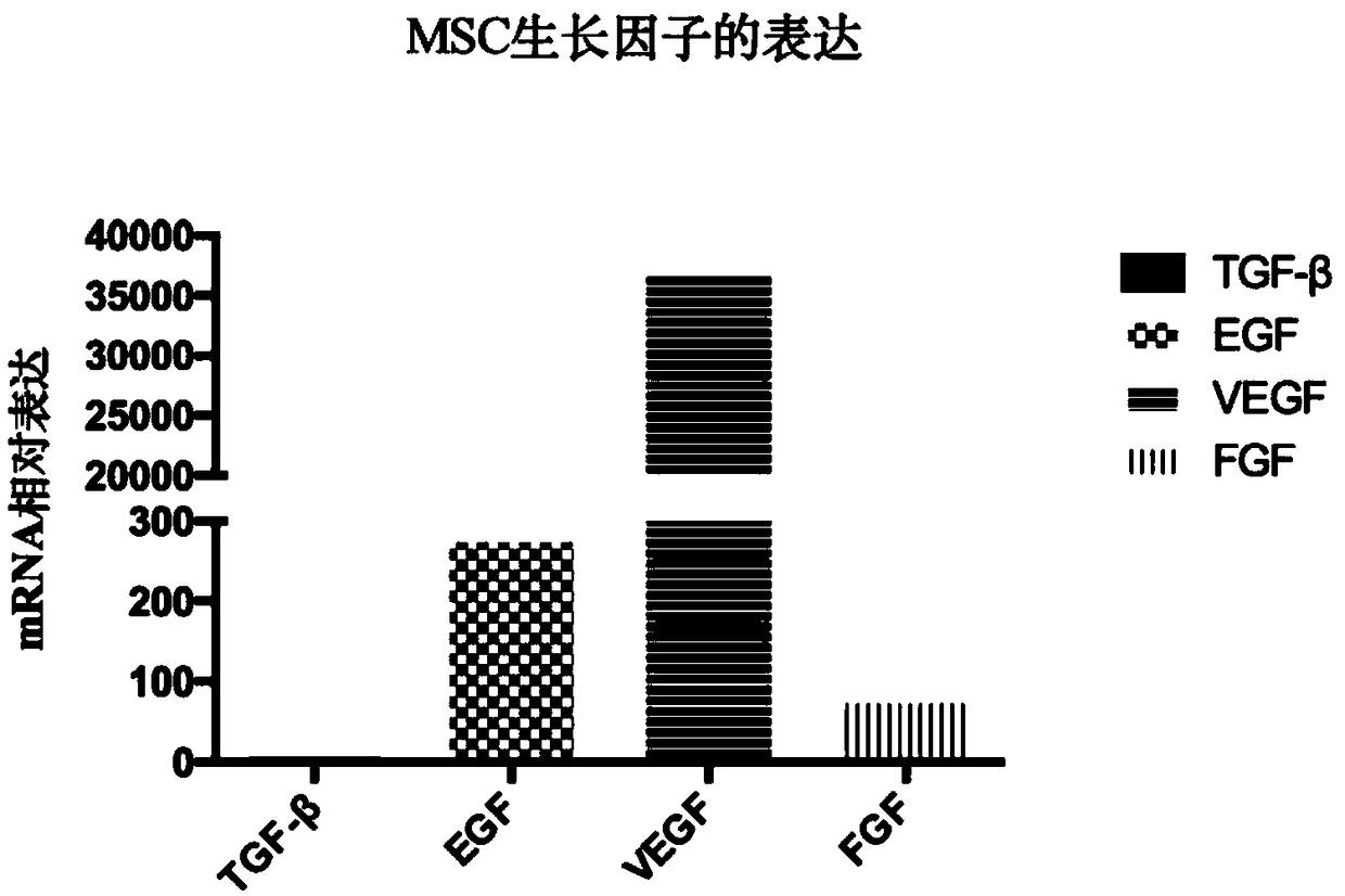 Application of mesenchymal stem cell culture from human umbilical cord or supernatant of mesenchymal stem cell culture