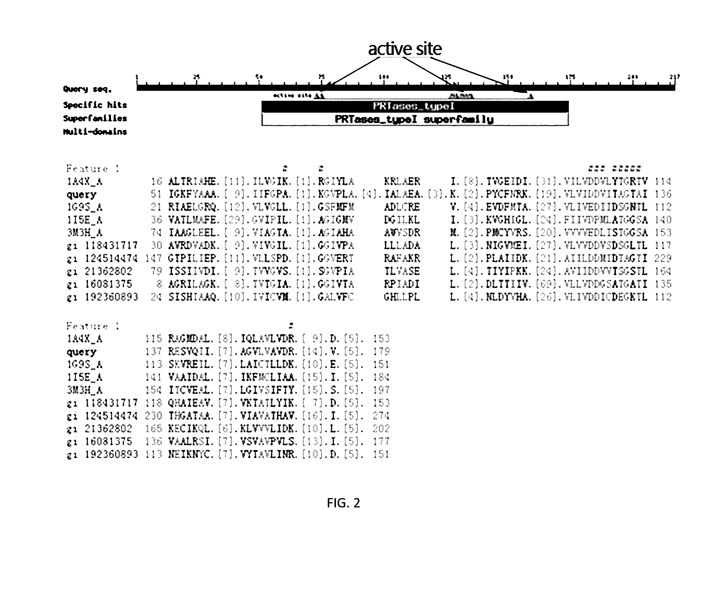 Mortierella alpine uracil auxotroph with ura5 gene knocked out through homologous recombination, and construction method thereof