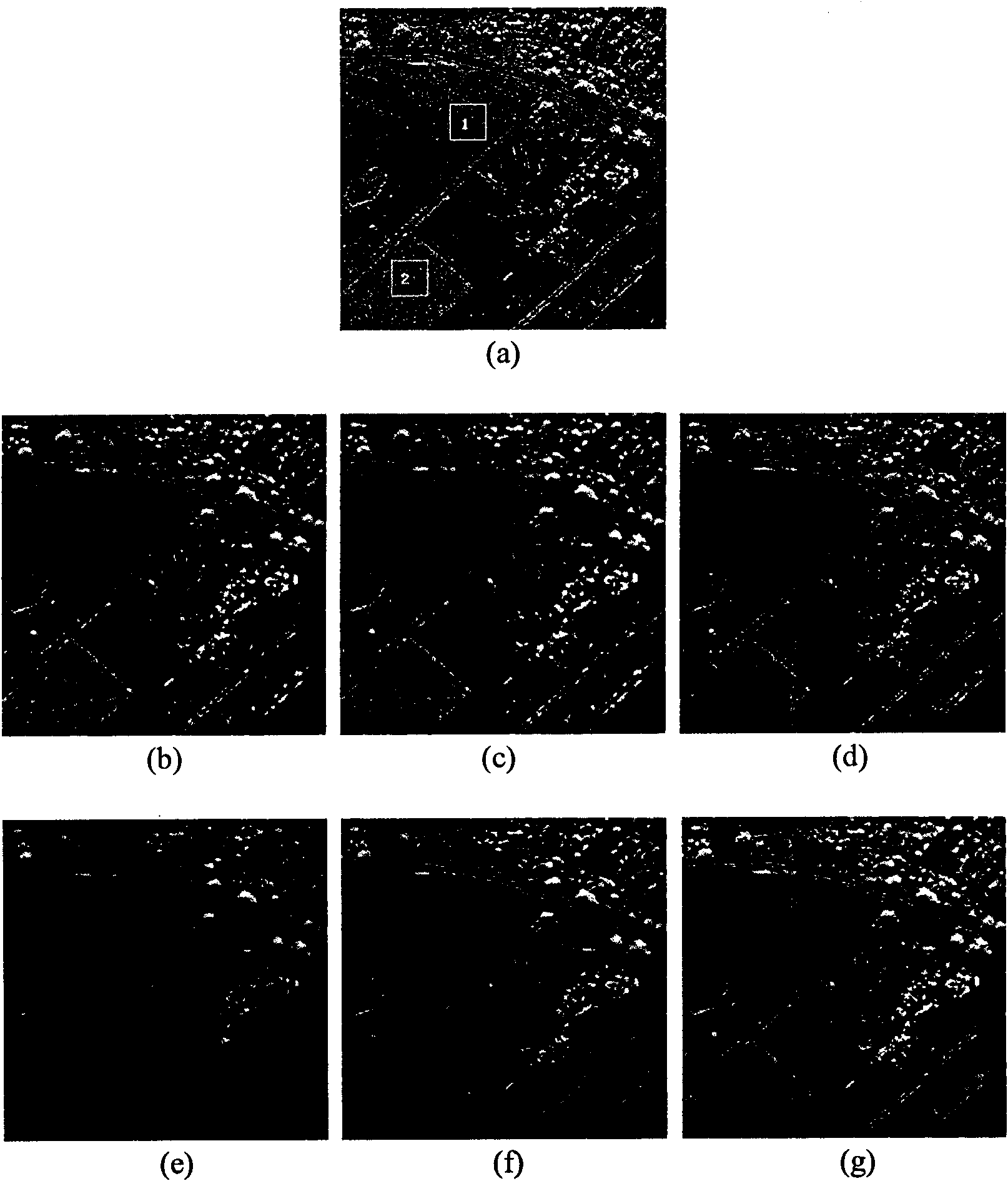 SAR image noise suppression method based on direction wave domain mixture Gaussian model