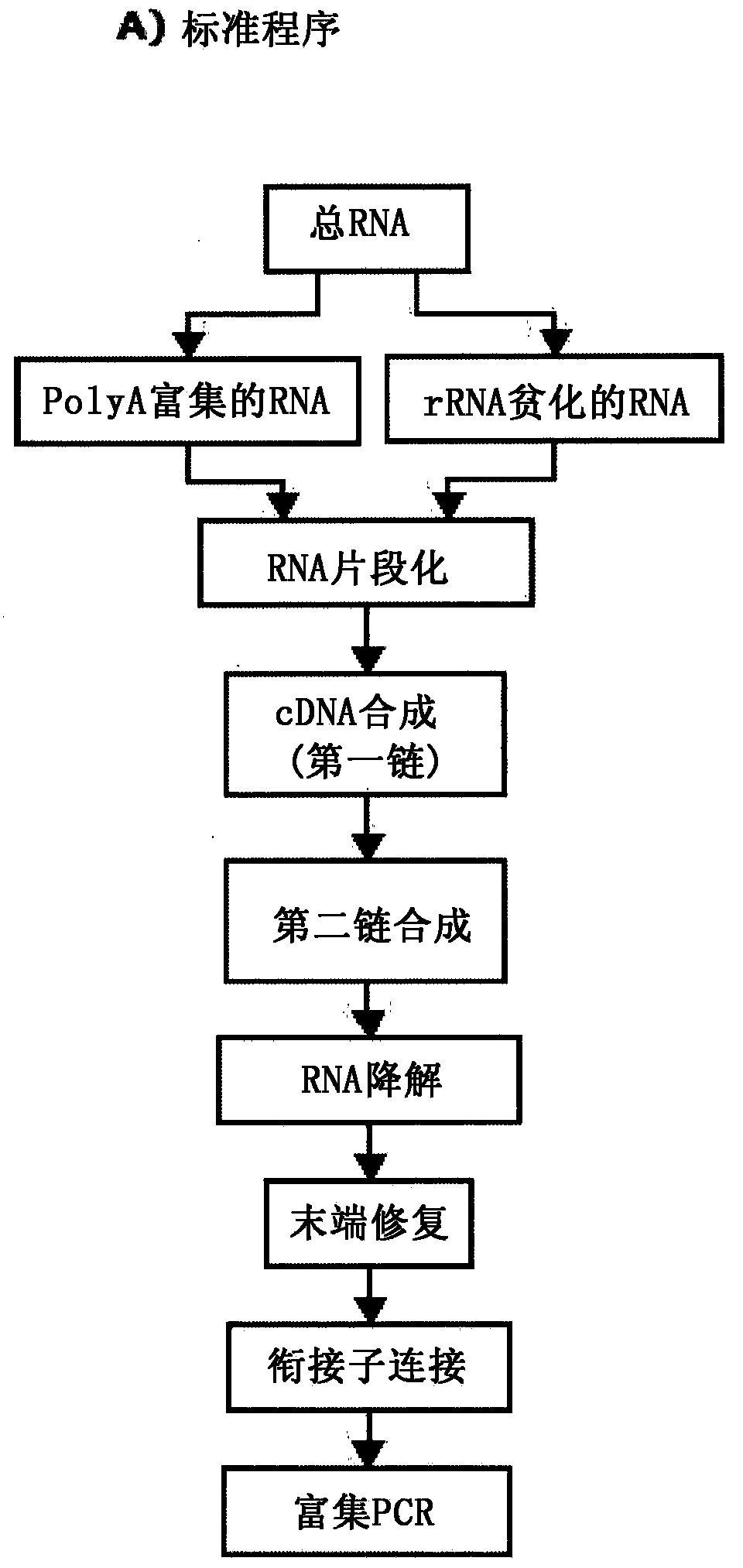 Method and kit for characterizing rna in a composition