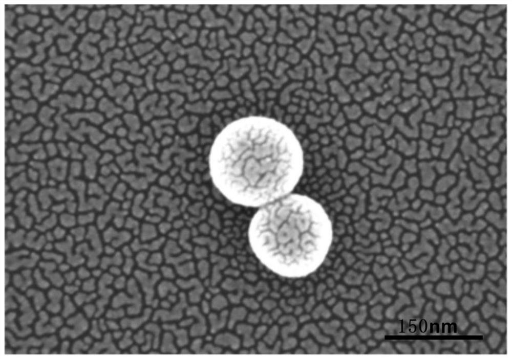A perovskite cspbbr  <sub>3</sub> Quantum dots and their preparation methods and applications