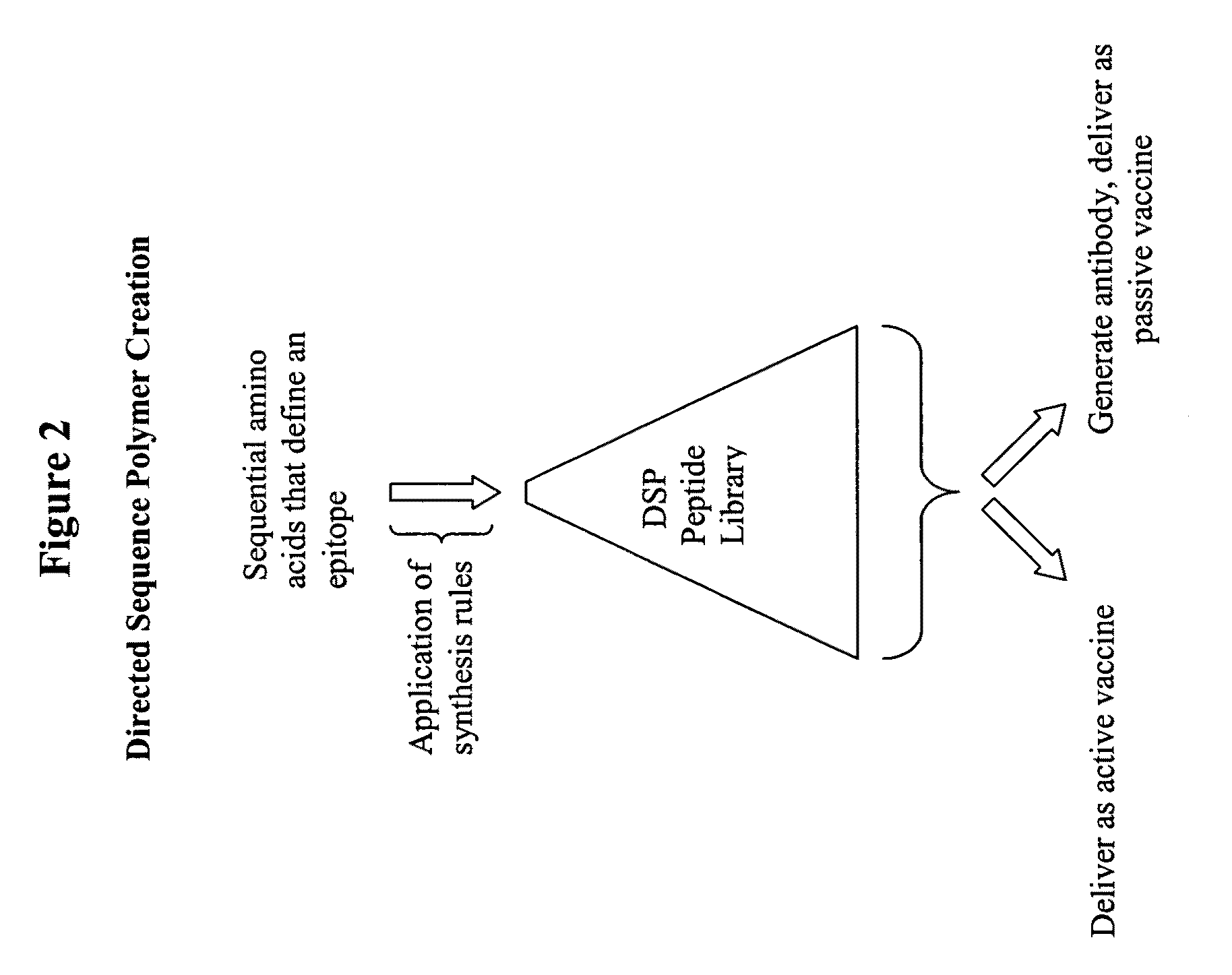 Synthesis of directed sequence polymer compositions and antibodies thereof for the treatment of protein conformational disorders