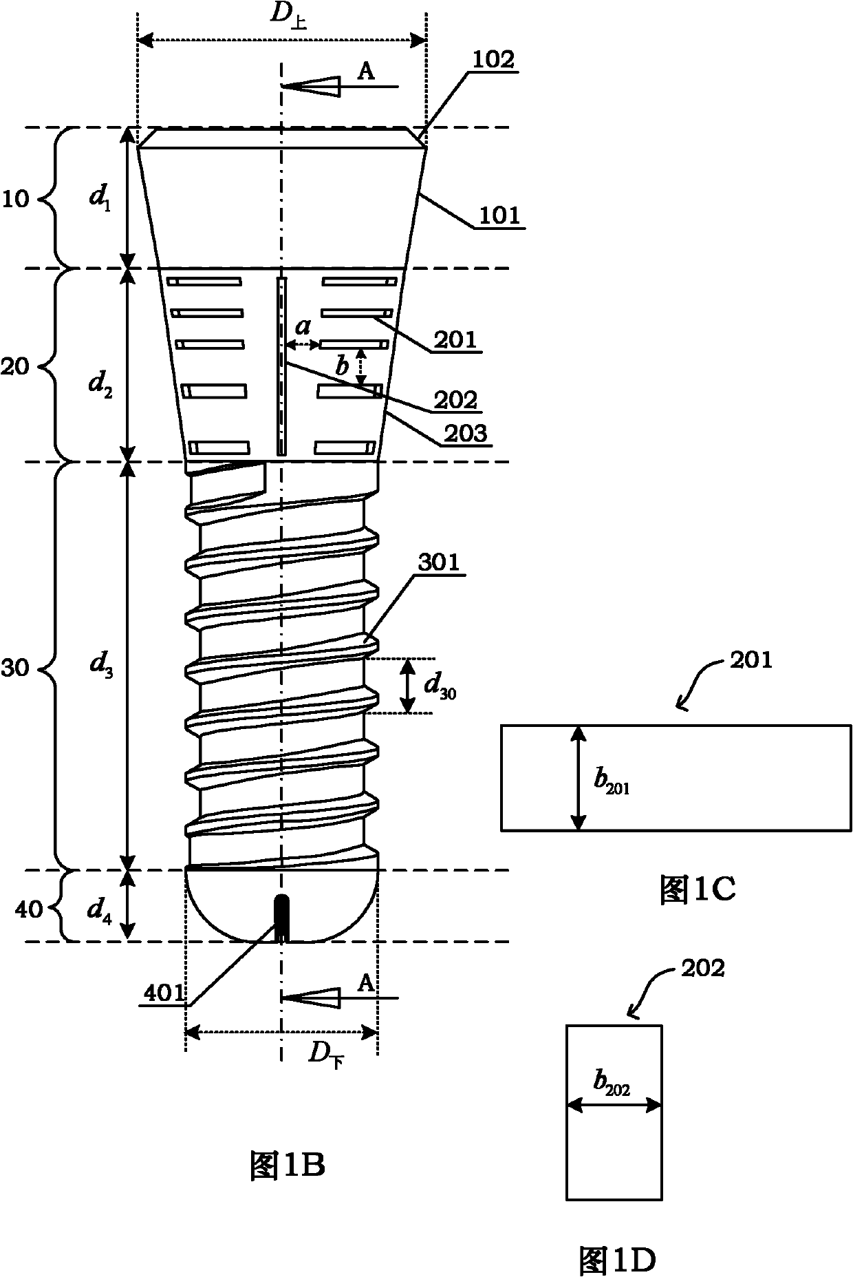 Oral implant with appropriate initial-stage load stimulation