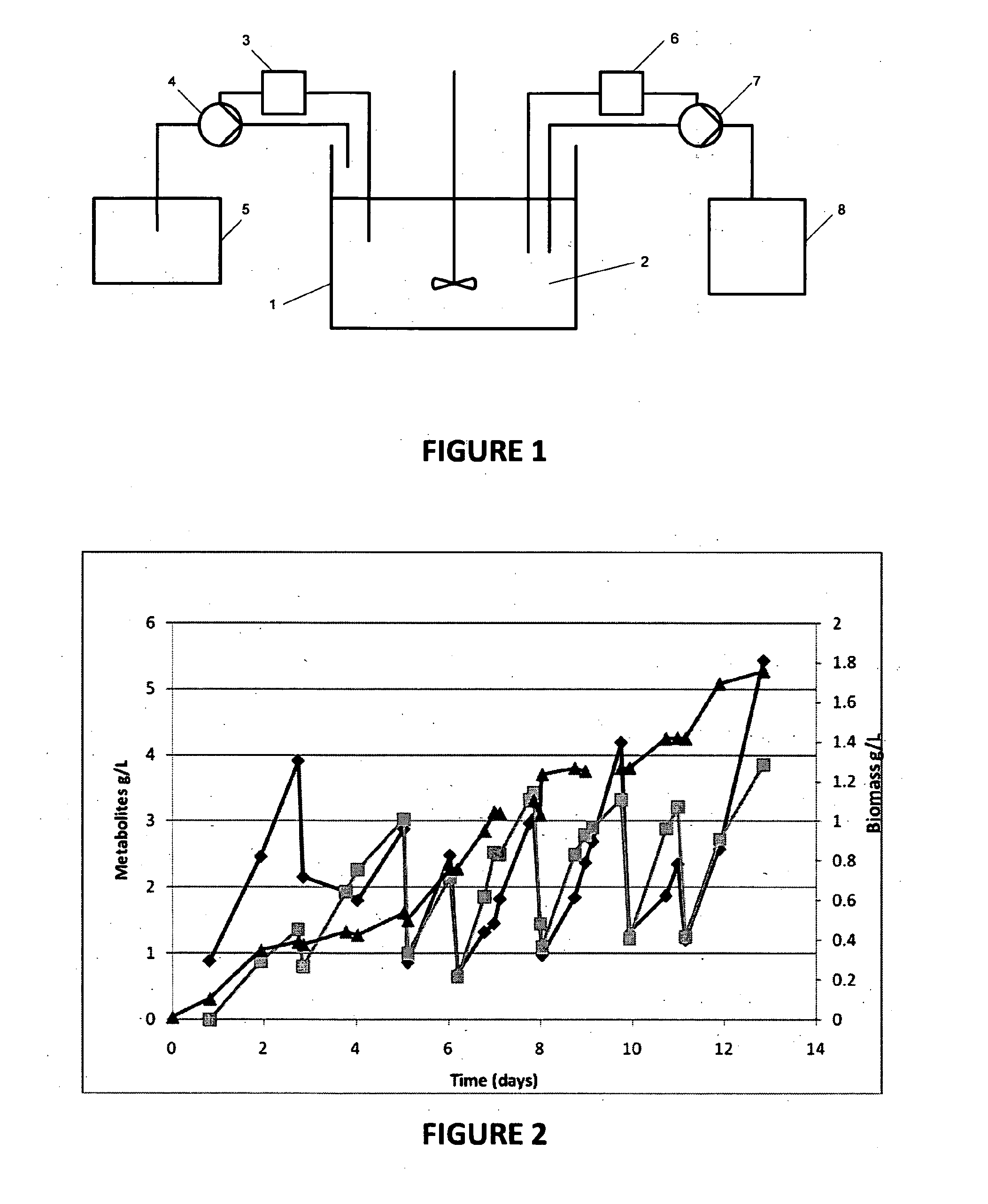 Novel bacteria and methods of use thereof