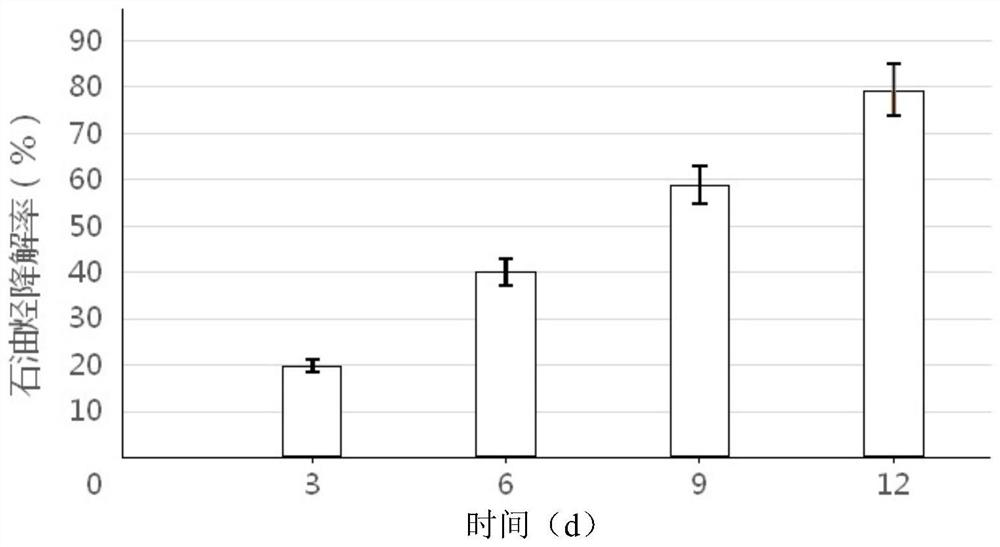 A Chromium-Resistant Petroleum Hydrocarbon Degrading Strain thp3-30 and Its Application