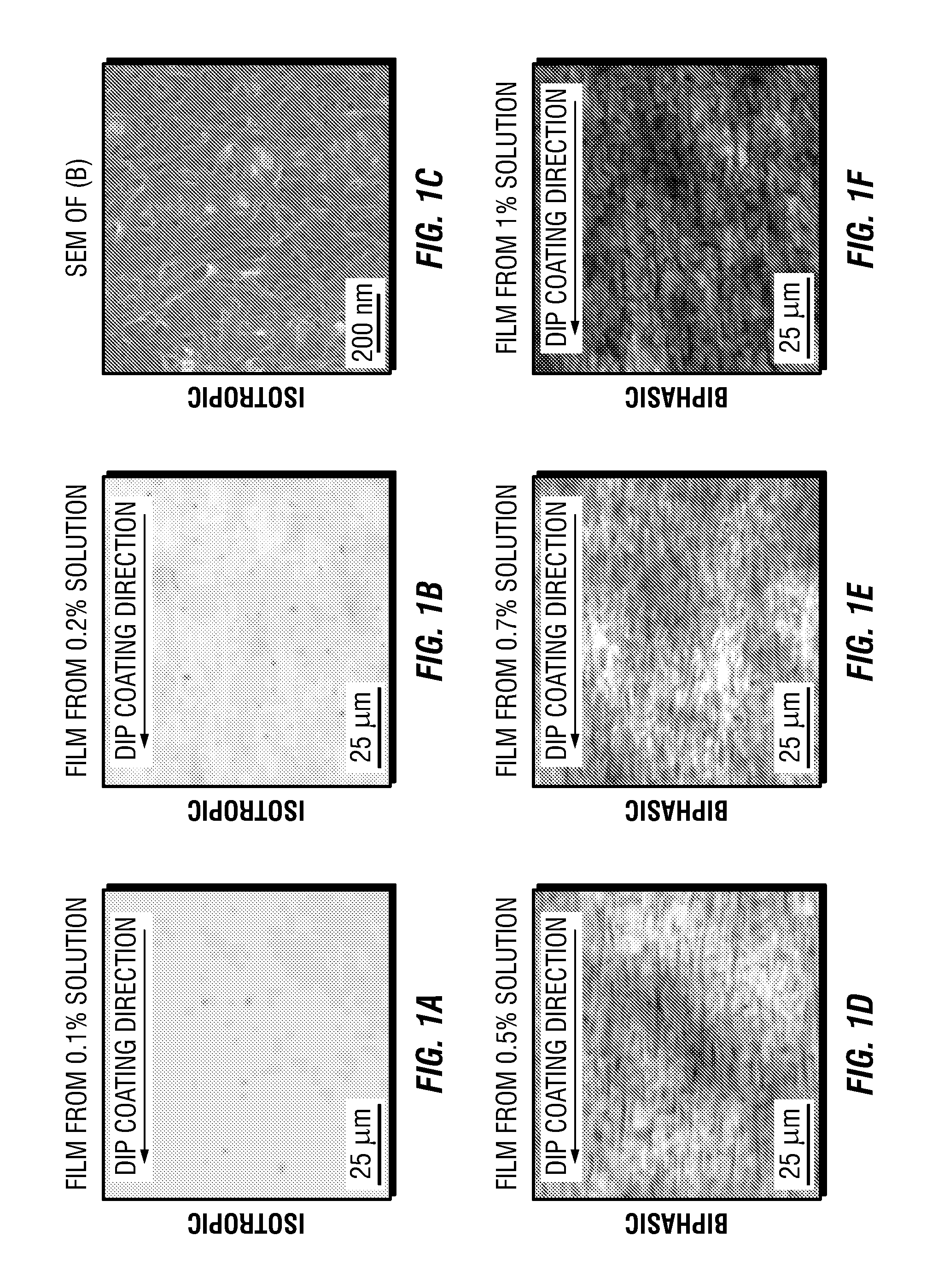 Carbon nanotube films processed from strong acid solutions and methods for production thereof