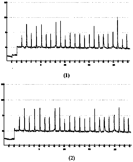 Method for analyzing haplotype of PCR products by primer selection sequencing-by-synthesis