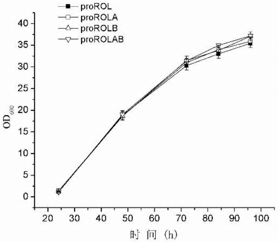 Method for increasing lipase expression through glycosylation modification as well as mutant enzyme and application thereof