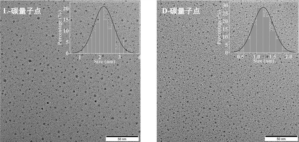 Orange-light carbon quantum dots as well as preparation and application thereof