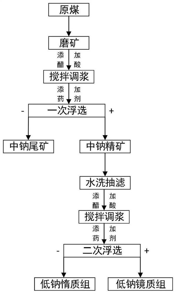 High-sodium low-rank coal flotation sodium removal method and system