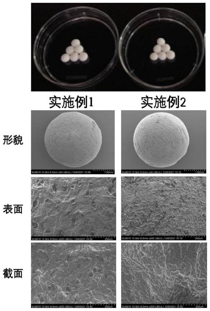 Emulsion gel bead for realizing targeted release of flavone at different parts and preparation method of emulsion gel bead