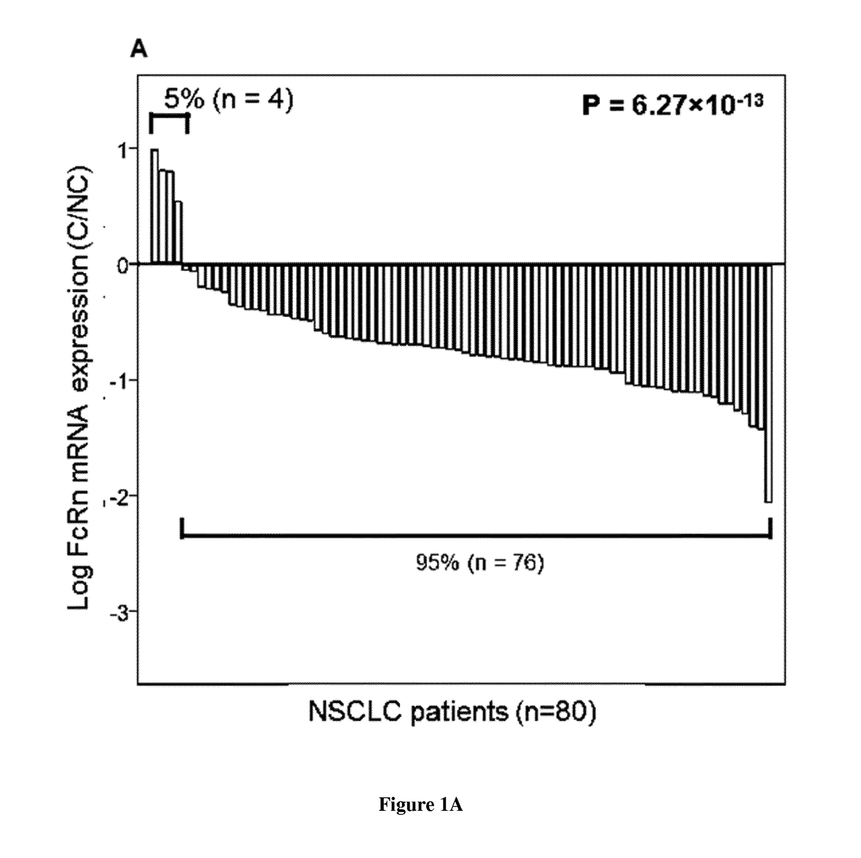 Methods for predicting the survival time and treatment responsiveness of a patient suffering from a solid cancer