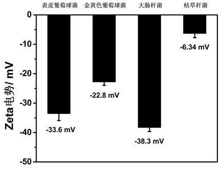 Construction and application of electrochemically controllable bacterial adhesion interface