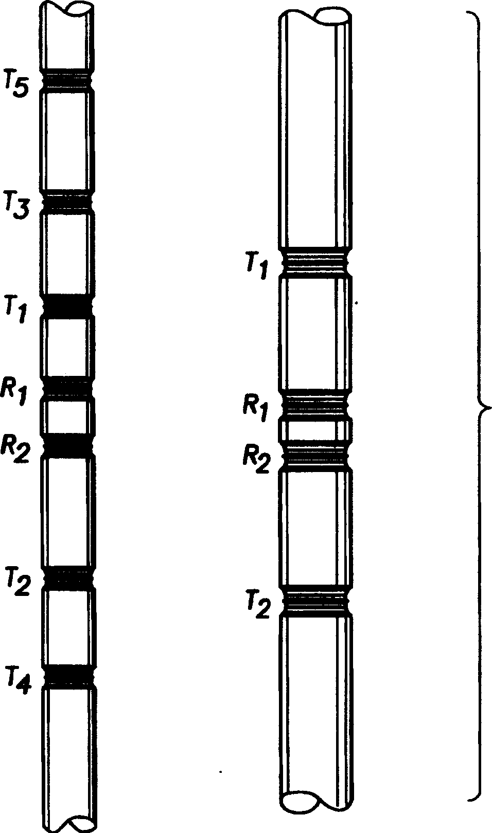 Electromagnetic method for determining dip angles independent of mud type and borehole environment