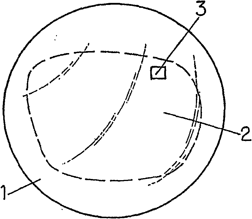 Method for recording data in a holographic form on a lens and a corresponding lens