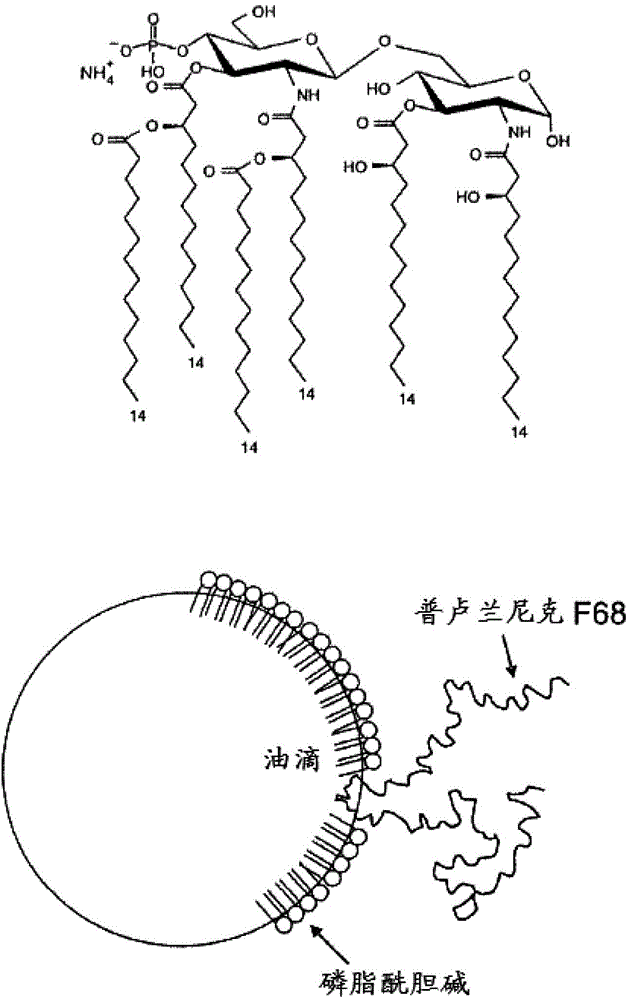 Vaccines for HSV-2