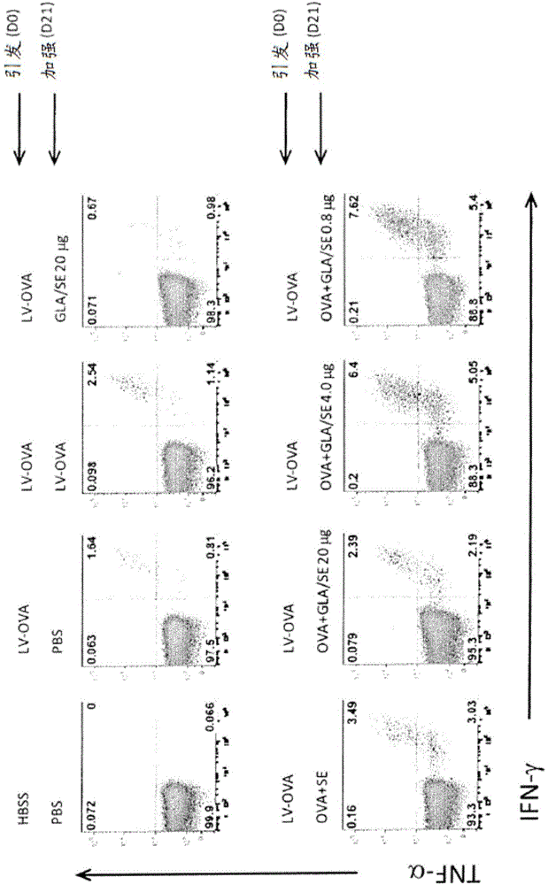 Vaccines for HSV-2