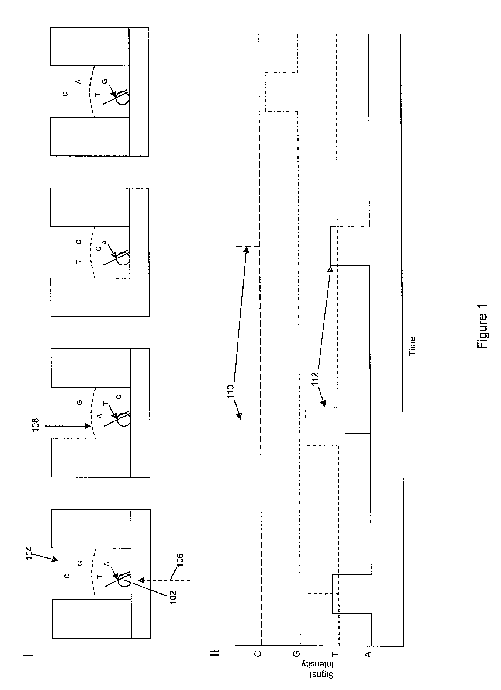 Compositions and methods for use in analytical reactions