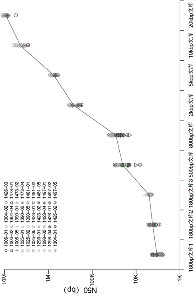 Variation detection method and device assembled based on genomes