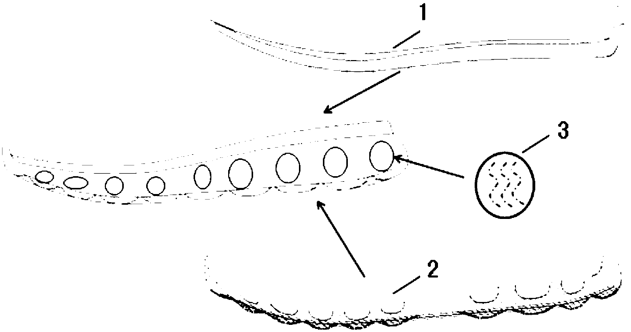 Sole for sports shoes and preparation method and application thereof