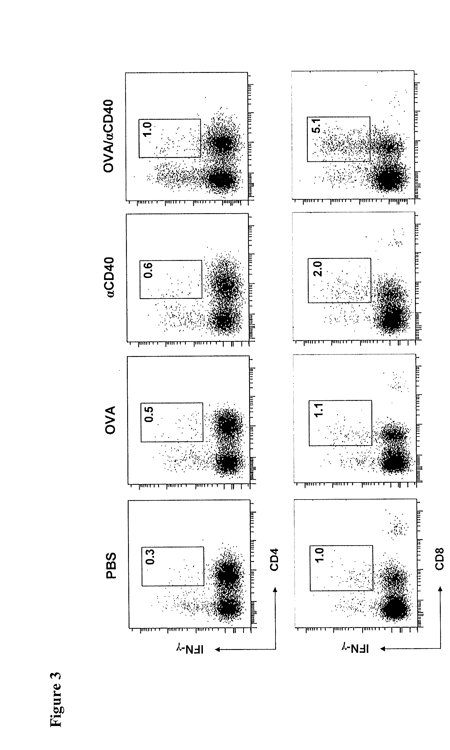 Combination for use in the treatment and/or prevention of mastitis