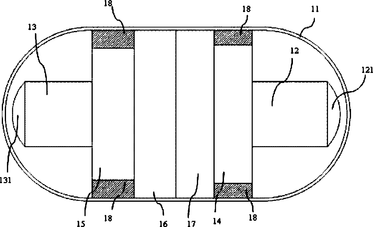 Capsule enteroscopy system with bidirectional optical coherence tomography function