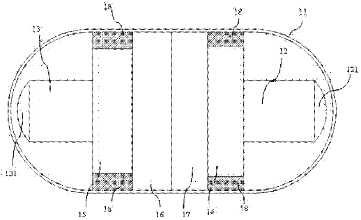 Capsule enteroscopy system with bidirectional optical coherence tomography function