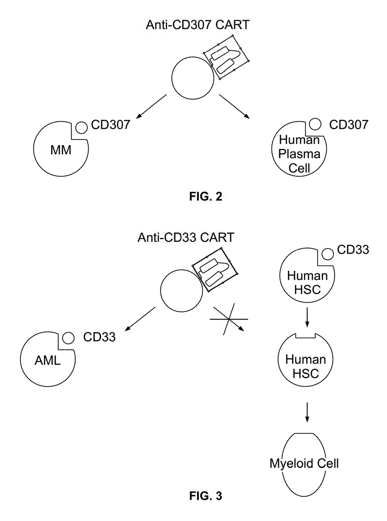 Compositions and methods for inhibition of lineage specific antigens