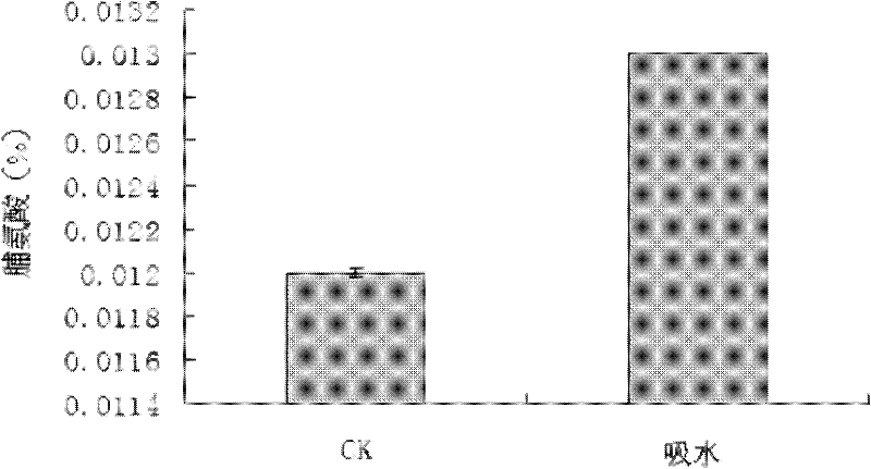 Hydro-priming method for Chinese pine seeds