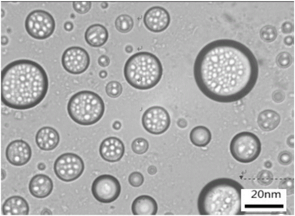 Polyaniline modified bentonite nano-microsphere adsorption material and preparation method thereof