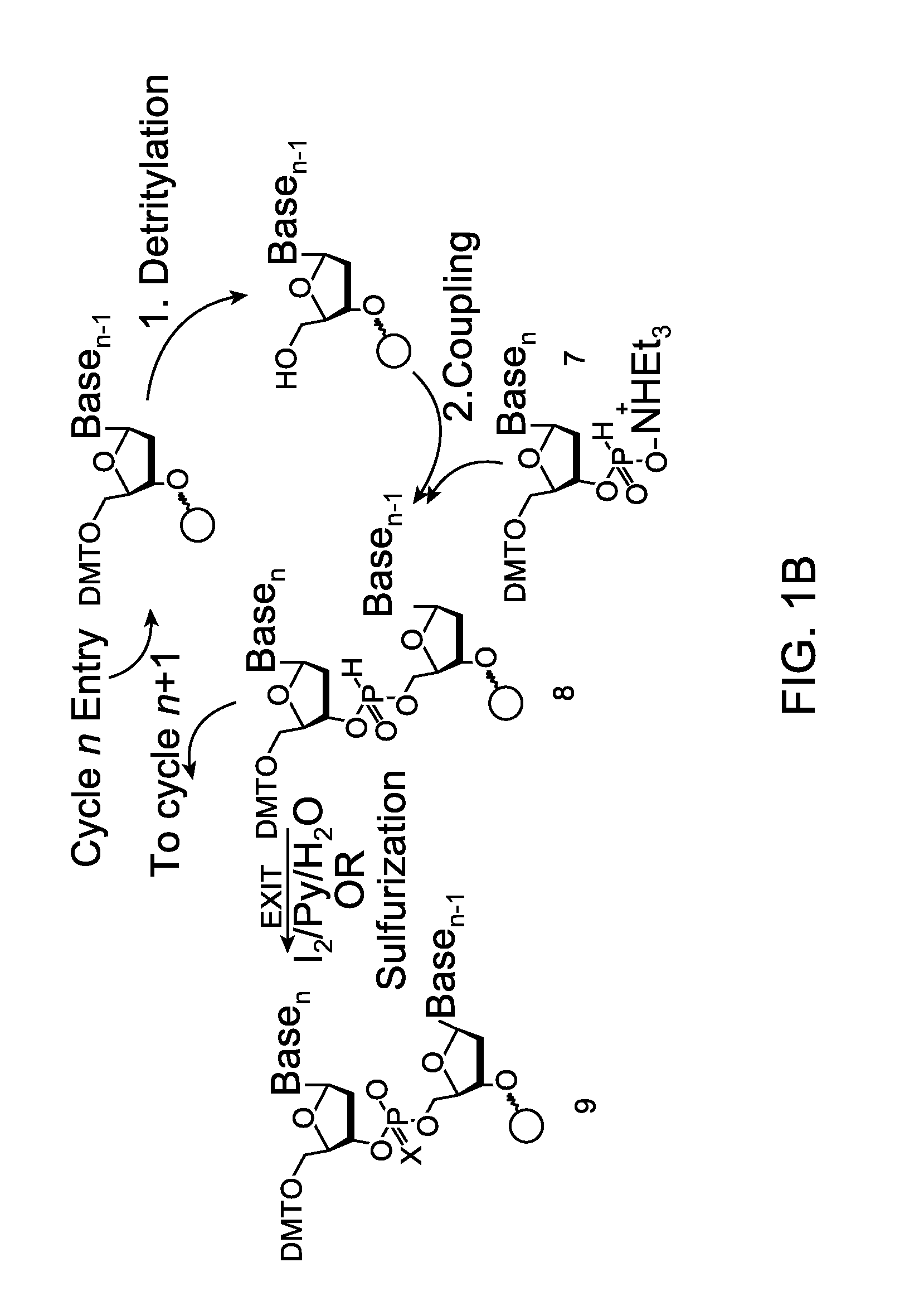 Novel methods for the synthesis and purification of oligomers