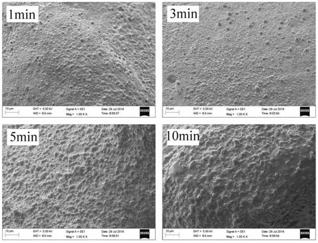Collagen coating on porous titanium surface and preparation method thereof