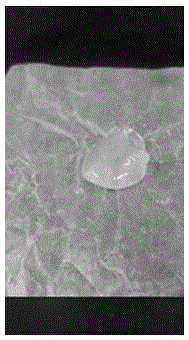 Preparation method for novel rare-earth fluorescent gel adopting PVA as main body and application thereof