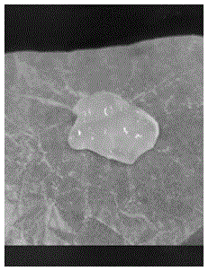 Preparation method for novel rare-earth fluorescent gel adopting PVA as main body and application thereof